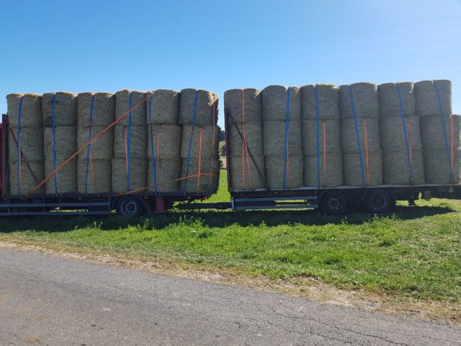 Transport de Fourrage et Paille France-Espagne | Service Expert - Transportagricole.fr