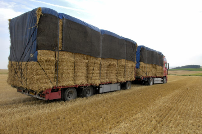 Transport de Fourrage France-Portugal | Service Expert - Transportagricole.fr