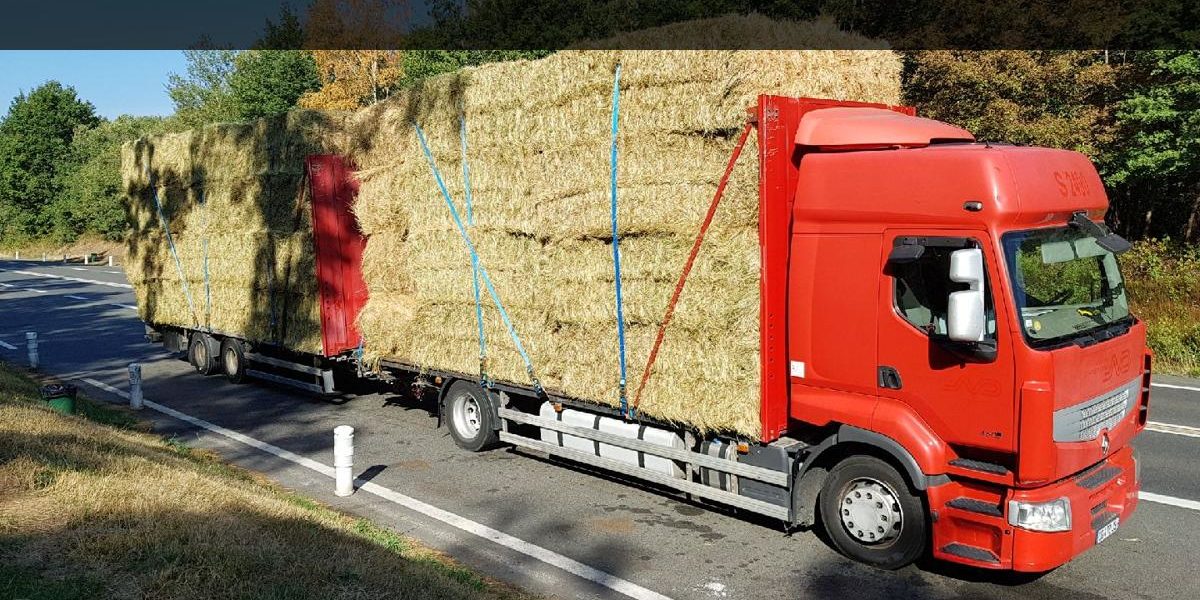 Camion transportant du fourrage en zone montagneuse Transport de fourrage en montagne avec camion-remorque plateau