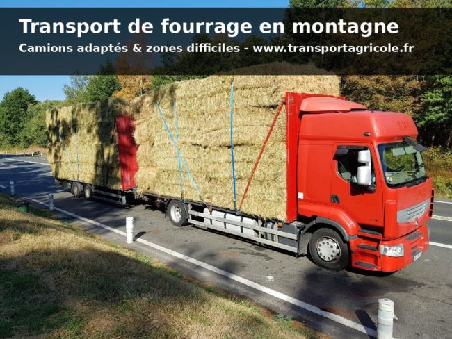 Camion transportant du fourrage en zone montagneuse Transport de fourrage en montagne avec camion-remorque plateau